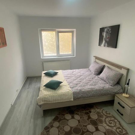 Apartment Dabic Remote And Fun Брашов Экстерьер фото