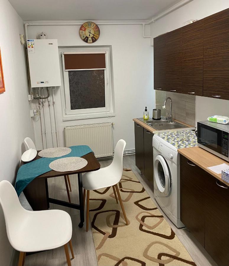 Apartment Dabic Remote And Fun Брашов Экстерьер фото