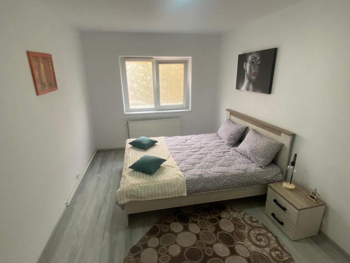 Apartment Dabic Remote And Fun Брашов Экстерьер фото