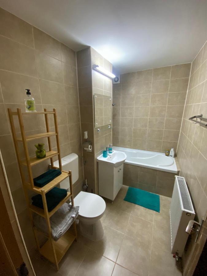 Apartment Dabic Remote And Fun Брашов Экстерьер фото
